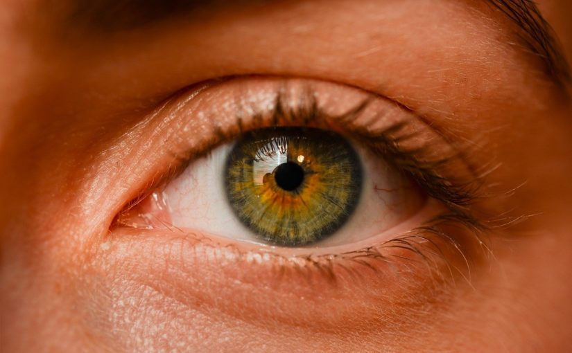 Oczy to charakterystyczny organ. To naturalnie dzięki nim odczuwamy.